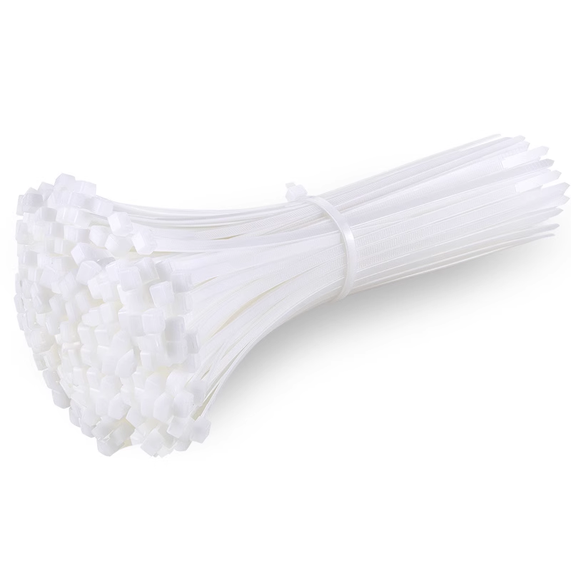 GEYA格亞自鎖式尼龍扎帶4*200mm固定塑料捆100條5*300mm卡扣50條